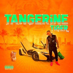 Tangerine Tiger