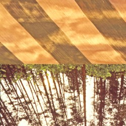 Finitude's Ladder