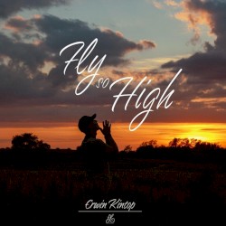 Fly So High