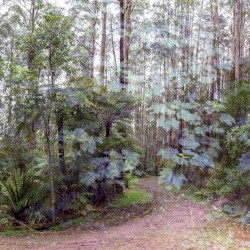 Overlapping Magisteria