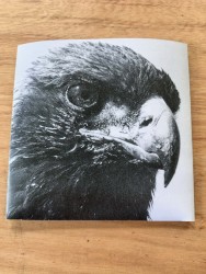 There Must Be Something Good Somewhere