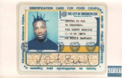 Return to the 36 Chambers: The Dirty Version