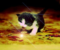 Songs to Table Tennis To