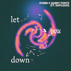 Let You Down