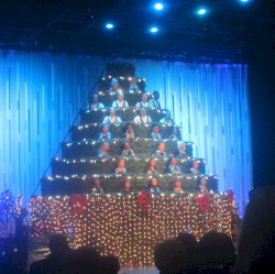 Singing Christmas Tree