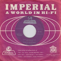 Kom van dat dak af / De hele stad is gek en dol