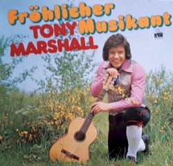 Fröhlicher Musikant