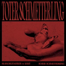 Toter Schmetterling