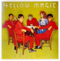 Solid State Survivor