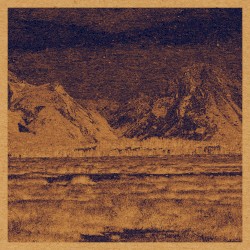 Complaints to the Graves Coyotes