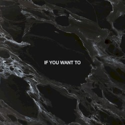 If You Want To (remix)