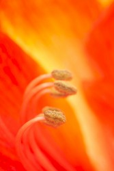 Systematic Intolerance for Spacial Jokes