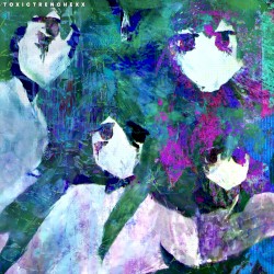 Everything I Could Fit into Goodbye