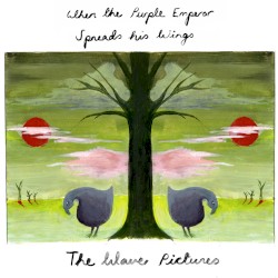 When The Purple Emperor Spreads His Wings