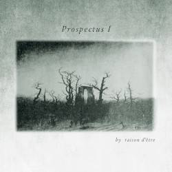 Prospectus I