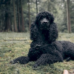 Im Museum der eigenen Irrtümer