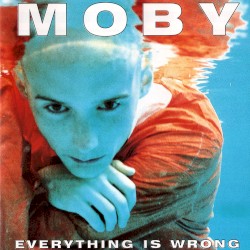 Everything Is Wrong
