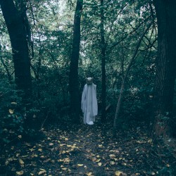 nothing is real, part XII