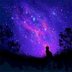 i still listen to our fav band