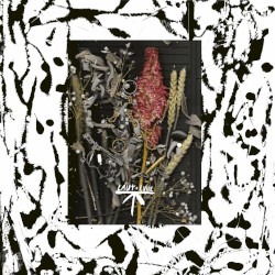 Call Me On The Regular