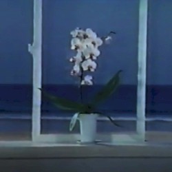 水に流す