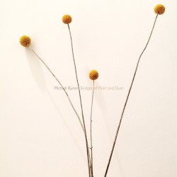 Bridges of Pearl and Dust