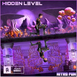 Hidden Level