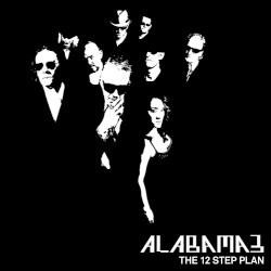 The 12 Step Plan