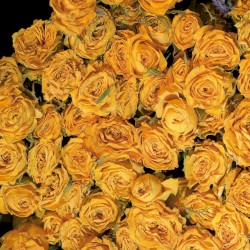 The Place I’ve Been Missing