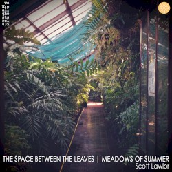 The Space Between the Leaves / Meadows of Summer