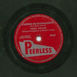 Camino de Guanajuato / Gorrioncillo pecho amarillo