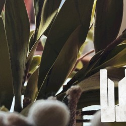 ᴀɴᴅ sᴏ ᴏɴ ᴀɴᴅ ᴏɴ