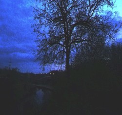 Album of One Sleepless Night