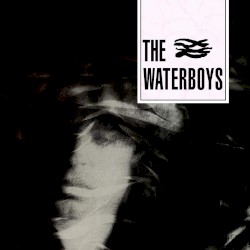The Waterboys