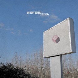 Syntropy