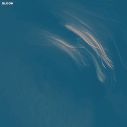 Bloom