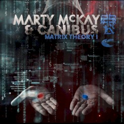 Matrix Theory I