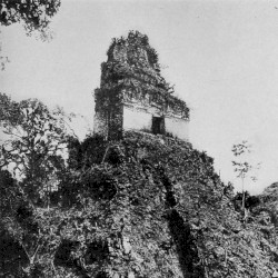 The Reason for This Dormant Surge (Waiting for the Chance)