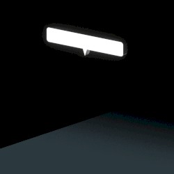 before they were gone