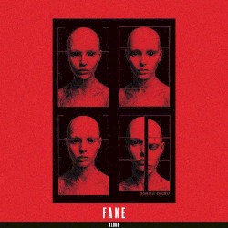 FAKE