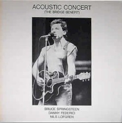 Acoustic Concert: The Bridge Benefit