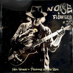 Noise & Flowers