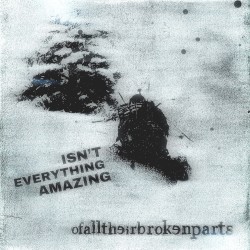 Isn't Everything Amazing!