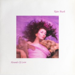 Hounds of Love