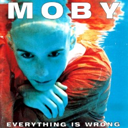 Everything Is Wrong