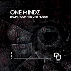 Special Room / The Only Reason