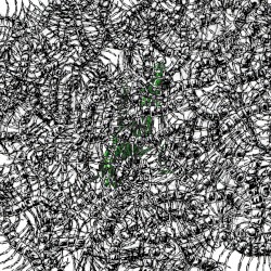 Моя милая пустота