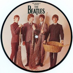 We Can Work It Out / Day Tripper
