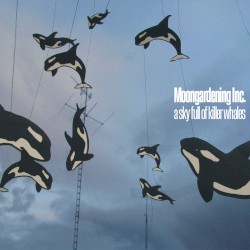 A Sky Full of Killer Whales