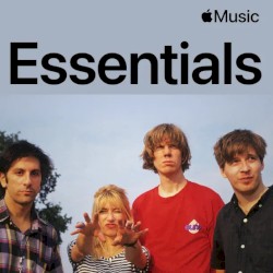 Sonic Youth Essentials